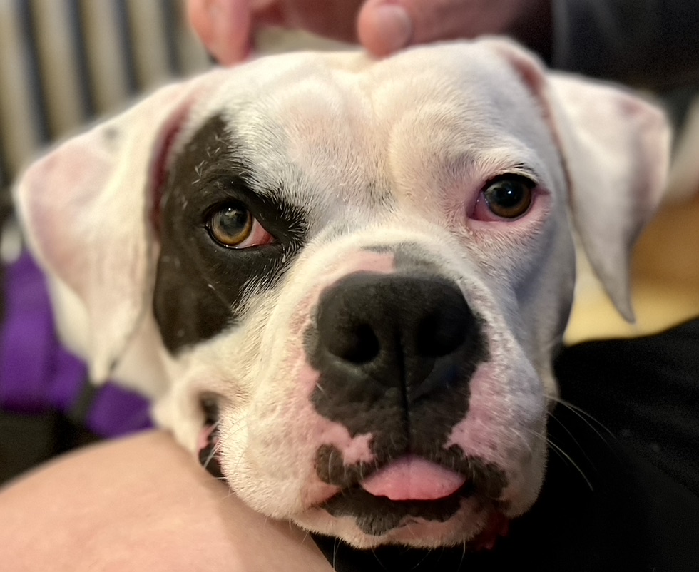 70be835d 6fda 4ade b279 9eb78382c5a7 1 105 c